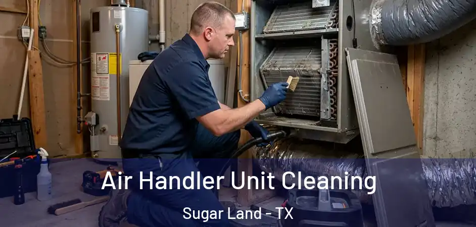 Air Handler Unit Cleaning Sugar Land - TX