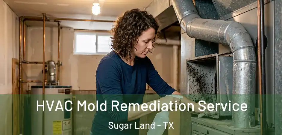 HVAC Mold Remediation Service Sugar Land - TX