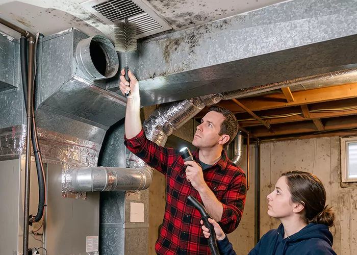 Premier HVAC Mold Remediation Company in Sugar Land